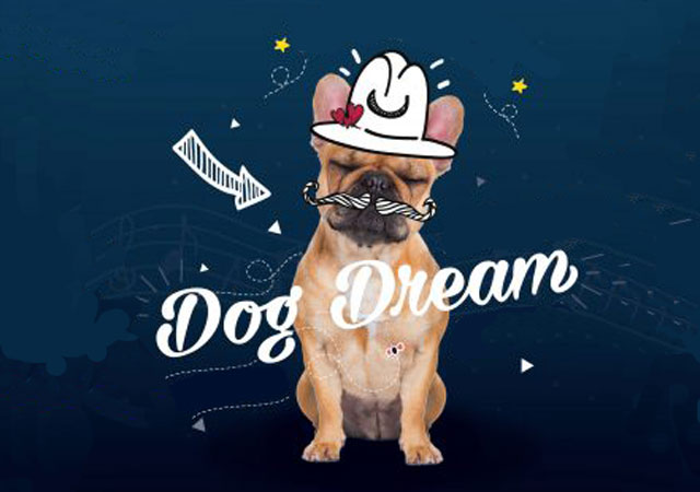Thailand International Dog Show